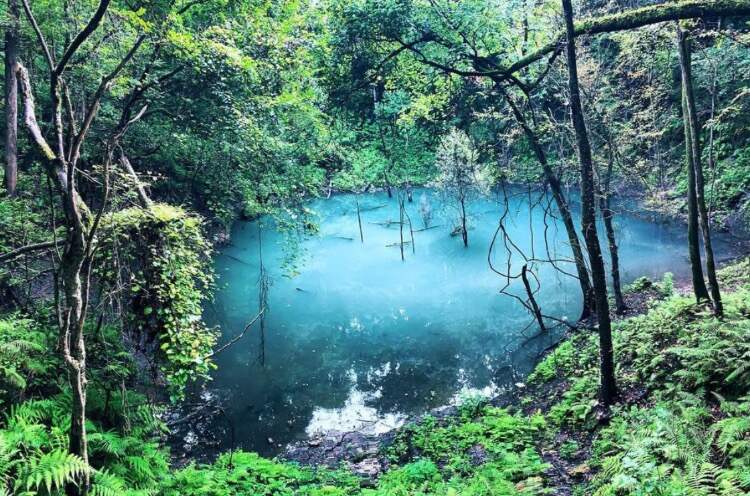 Devil's Millhopper Sinkhole