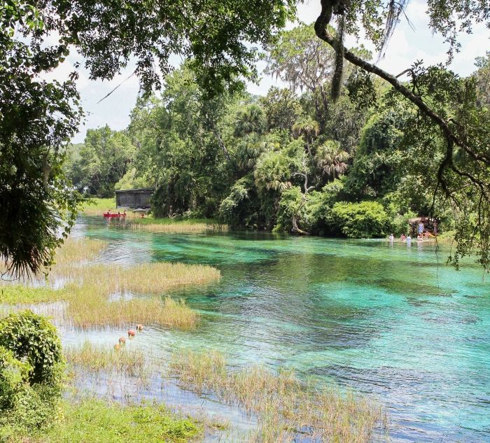 Dunnellon Rainbow River