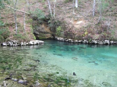 Econfina River State Park