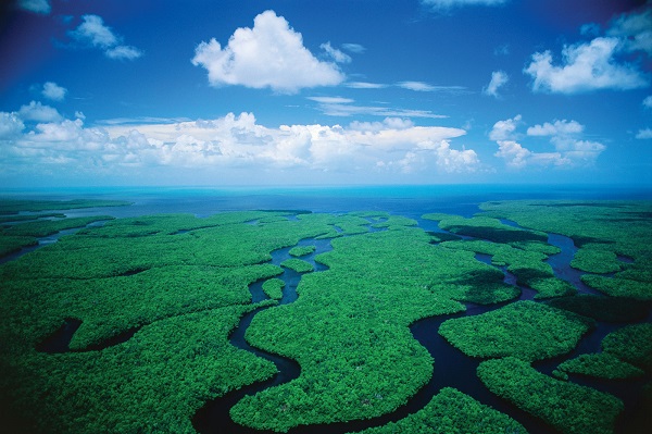 Everglades National Park Aerial Everglades National Park Aerial