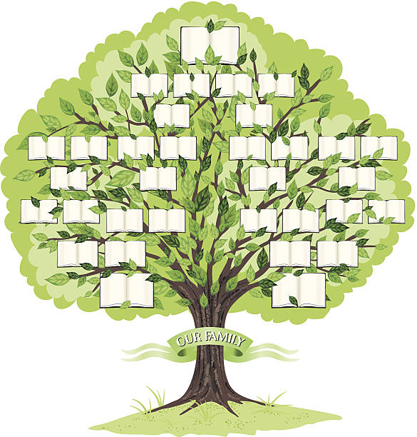 jefferson davis family tree