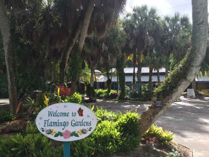 Flamingo Gardens Sign