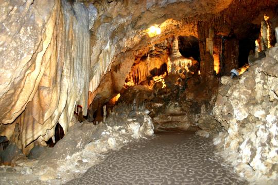 Florida Caverns State Park