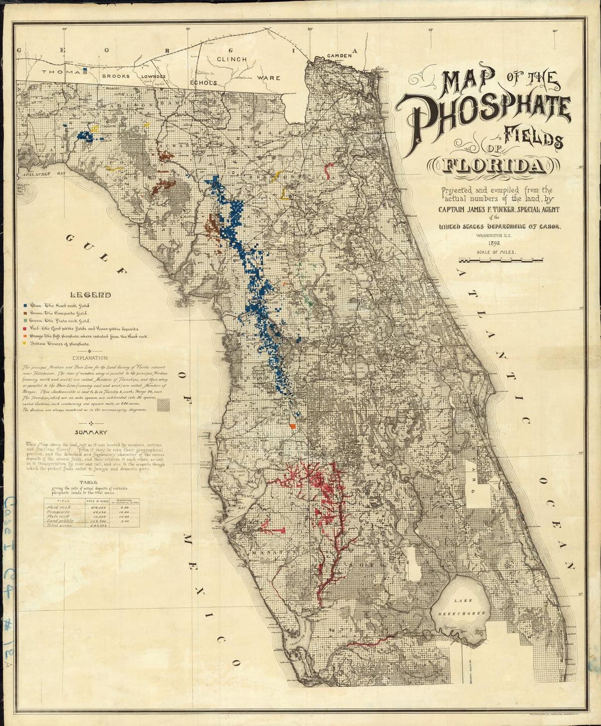 Florida Phosphate Fields 1890s