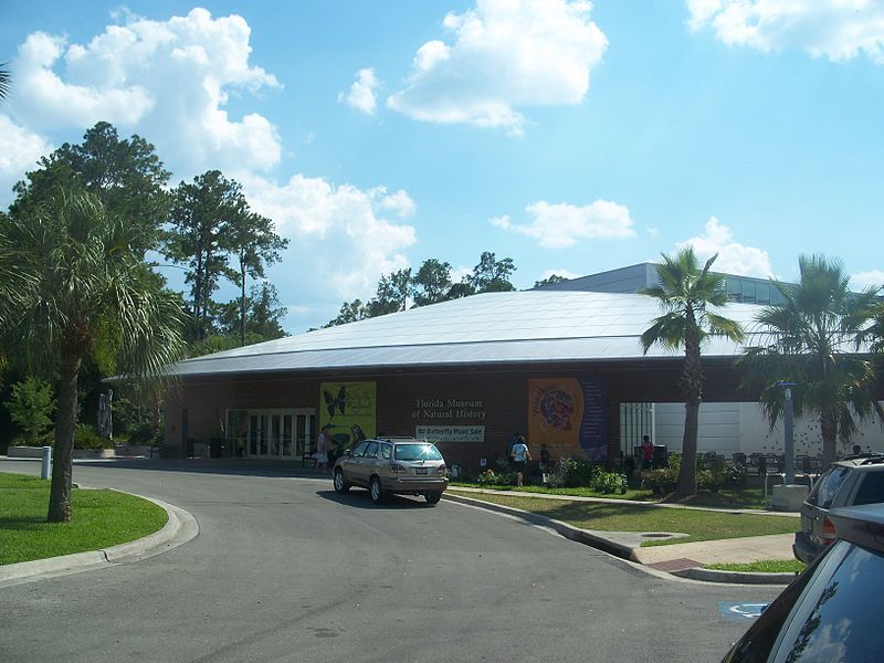 Florida Museum of Natural History, photo by Ebyabe