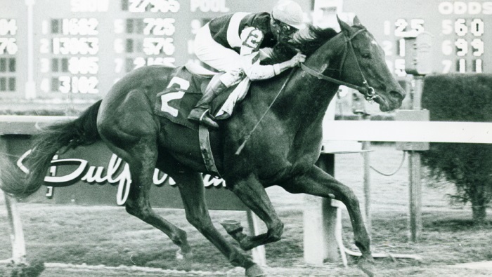 Foolish Pleasure, Winner of 1975 Kentucky Derby