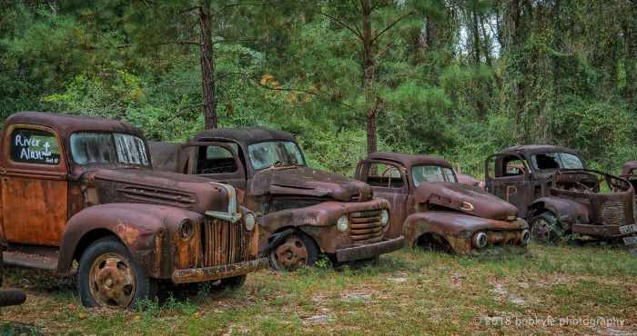 Ford Trucks Rusted