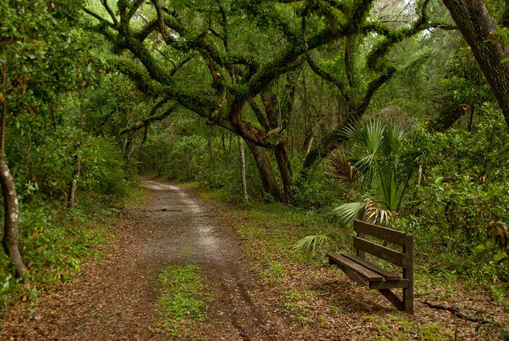 Fort Cooper State Park