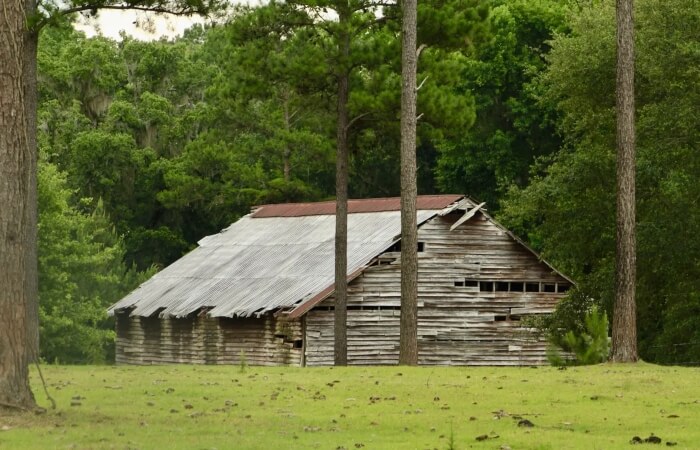 Gadsden County Tobacco Barn Keeler Gadsden County Tobacco Barn Keeler