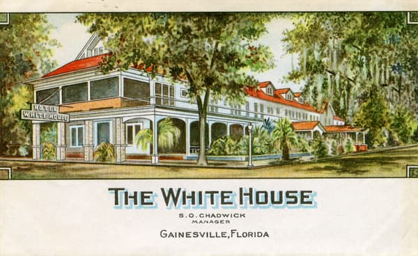Vintage Postcard Gainesville, Florida