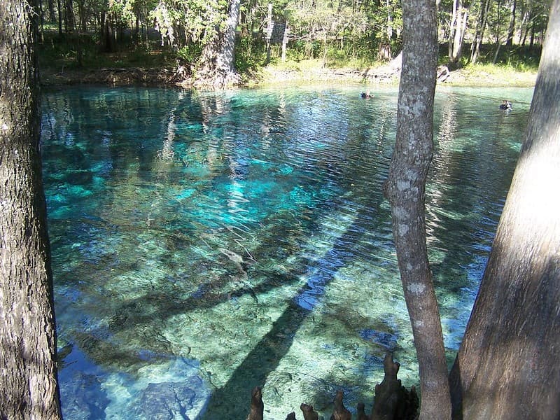 Ginnie Springs Outdoor Water Adventures And Camping