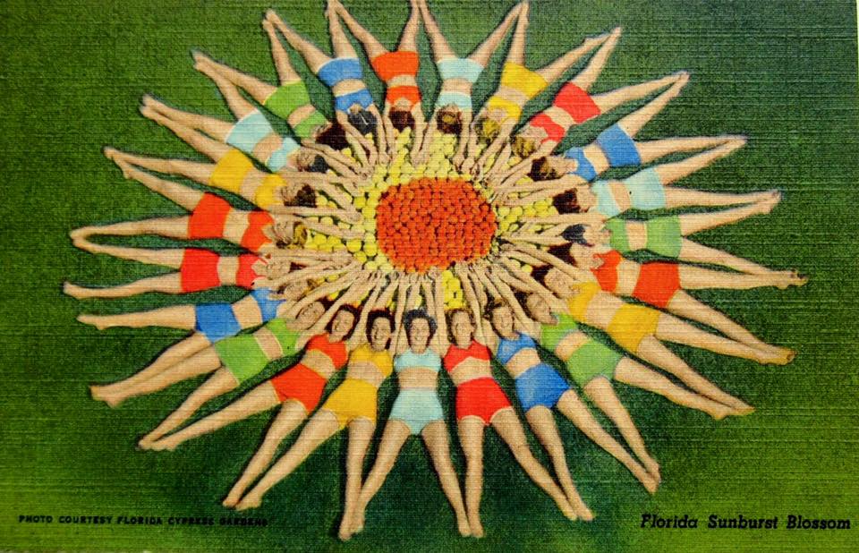 Vintage Postcard, Florida Girls in Sunburst Pose