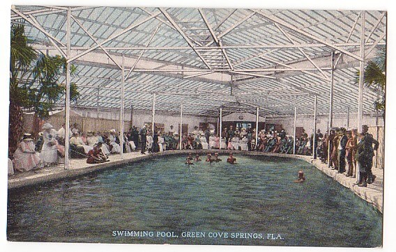 Vintage Postcard Green Cove Springs Pool