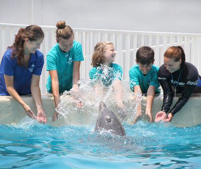 Guests and Dolphin at Gulf World