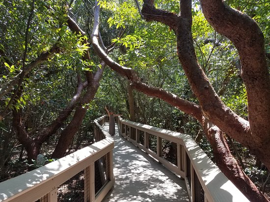 Gumbo Limbo Nature Center