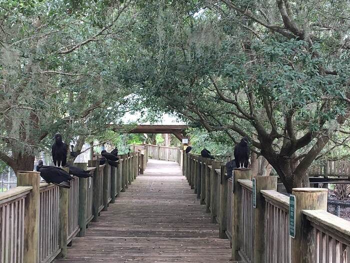 Hardee County Wildlife Refuge in Zolfo Springs