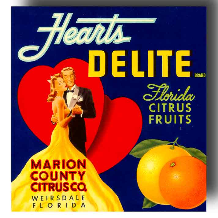 Haines City Florida Flora Seal Orange Citrus Fruit Crate Label Art Print 