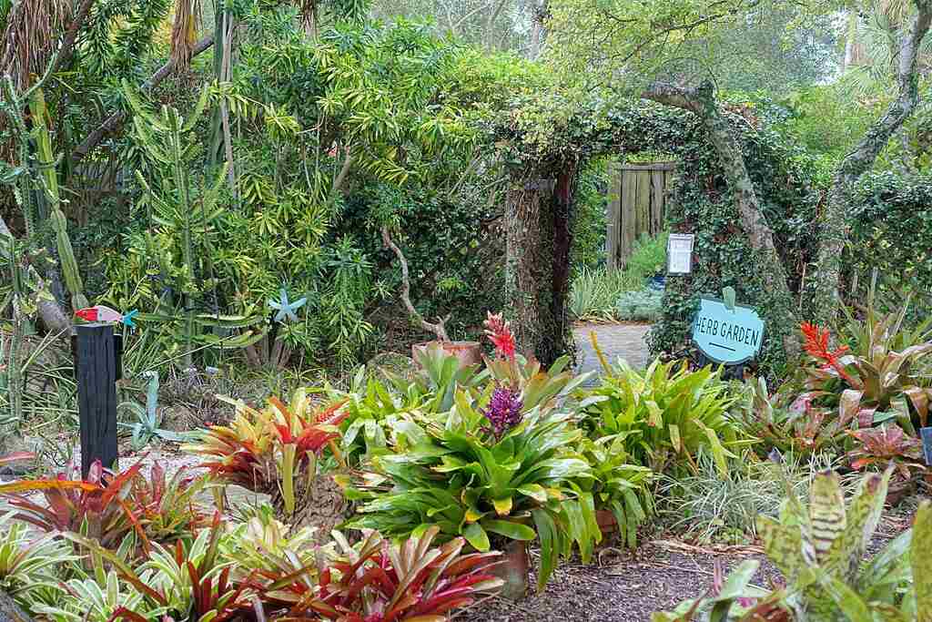Heathcote Botanical Gardens Herb Garden
