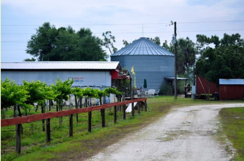 Henscratch Farms Silo