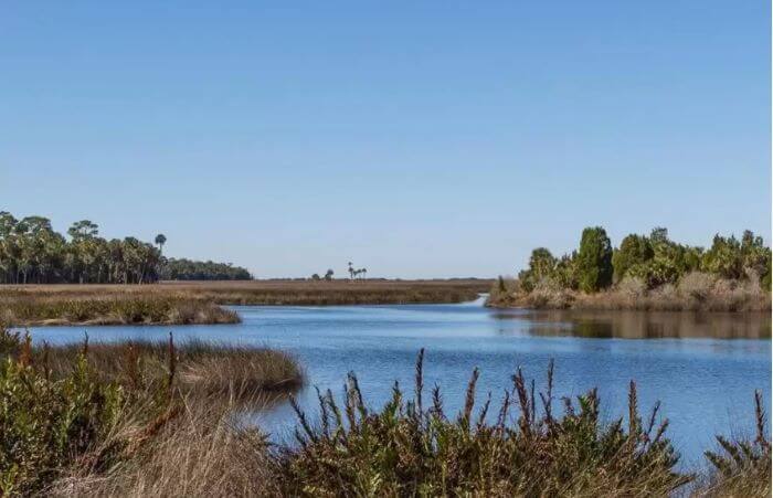 Hernando Beach Area Wetlands