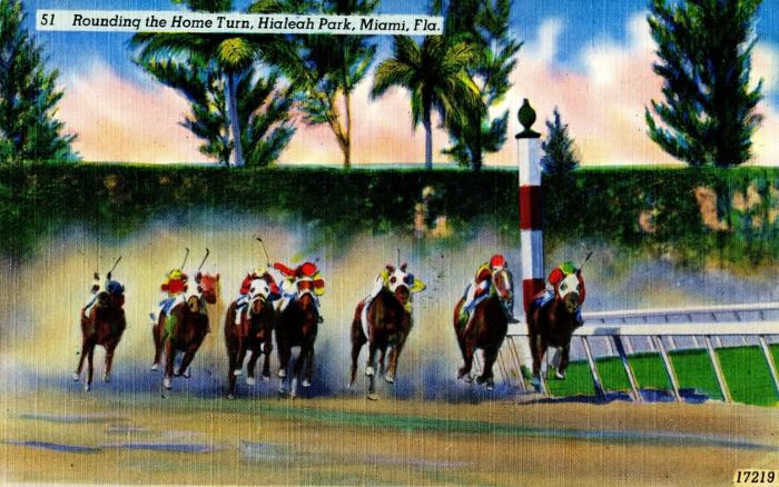 Hialeah Park Racing Postcard