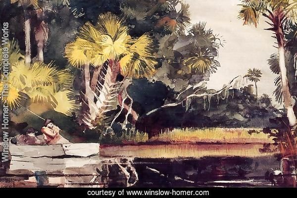 Homosassa Jungle, by Winslow Homer