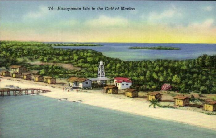 Honeymoon Island Postcard