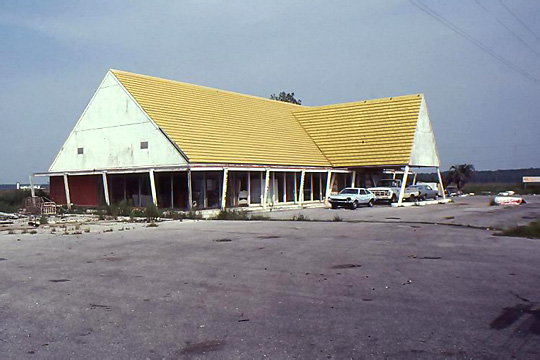 An Abandoned Horne's