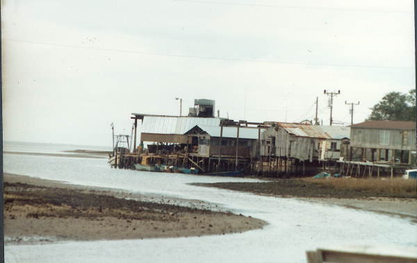 Horseshoe Beach Buildings in 1987