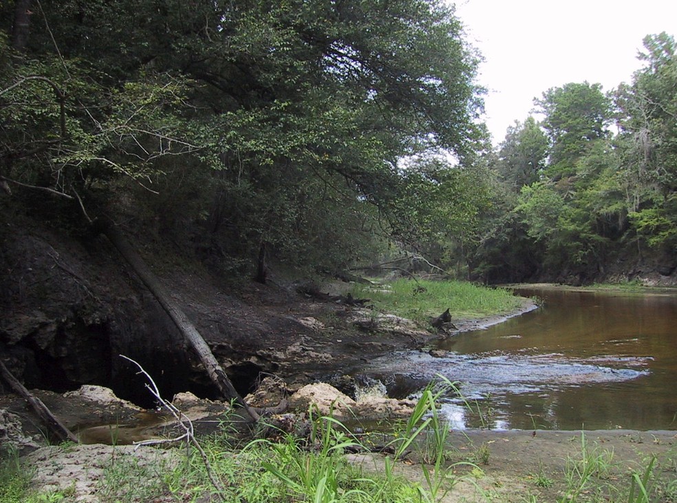 Jennings Alapaha River