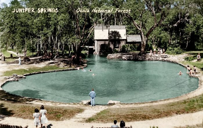 Juniper Springs 1940 Juniper Springs 1940