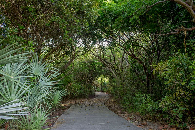 Path at Juno Dunes Natural Area