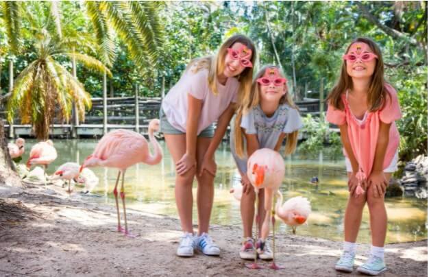 Kids at Palm Beach Zoo