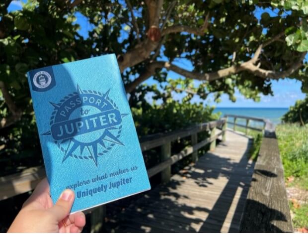 Passport to Jupiter
