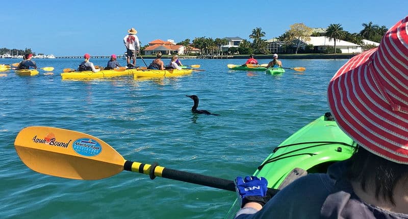 Kayaks at Lido Key