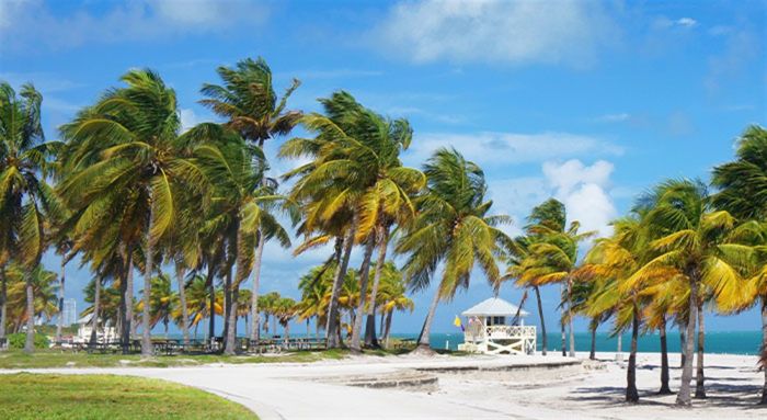 Key Biscayne Crandon Park Beach