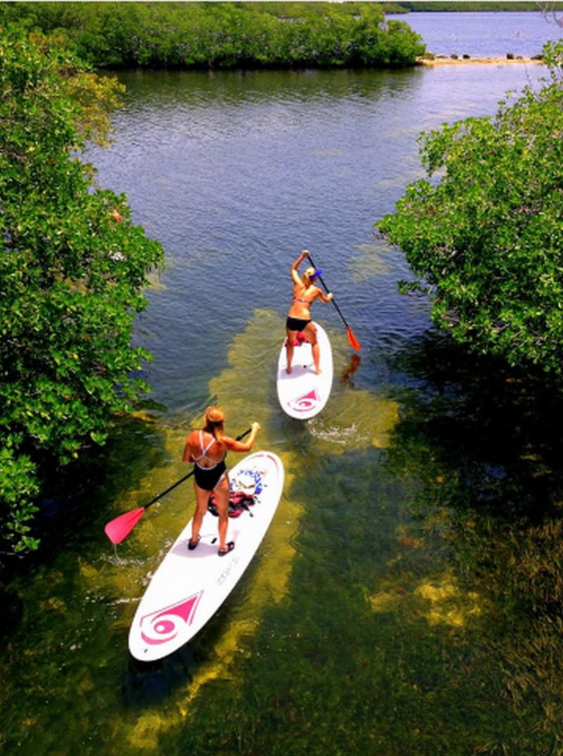 Paddleboarding at John Pennekamp Coral Reef State Park