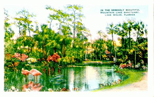 Vintage Postcard Lake Wales Mountain Lake Sanctuary