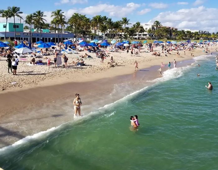 Lauderdale by the Sea View North