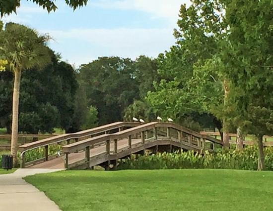 One of Five Bridges at Venetian Gardens, Leesburg, Florida