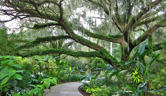 Leu Gardens Pathway