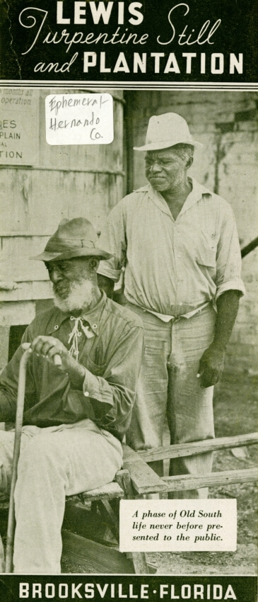 Lewis Plantation Poster, State Archives of Florida, Florida Memory