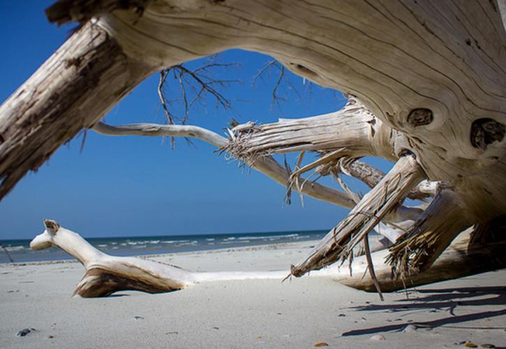 Little Talbot Island Beach