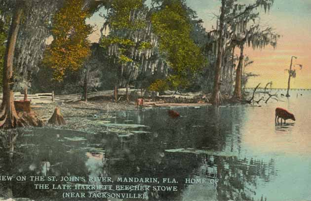 Vintage Postcard of Mandarin and the St. Johns River