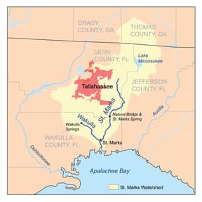 Map of St. Marks River