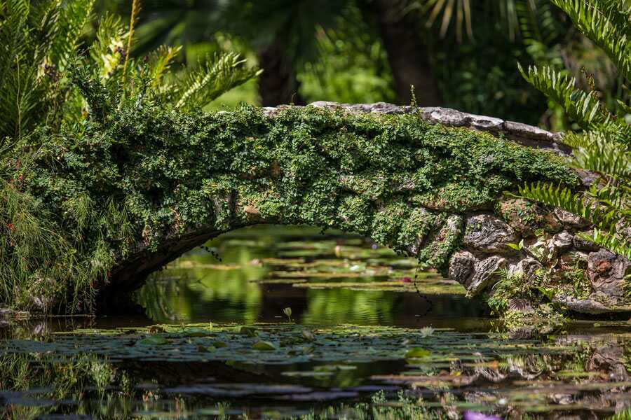 McKee Botanical Garden McKee Botanical Garden