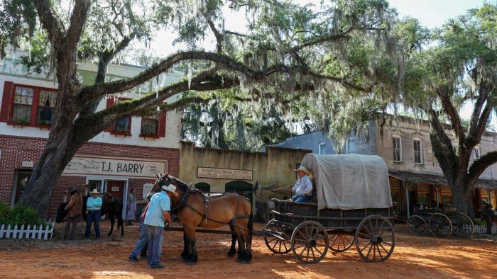 Micanopy Patrick Smith Movie