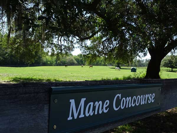 Mill Creek Farm Sign Mill Creek Farm Sign