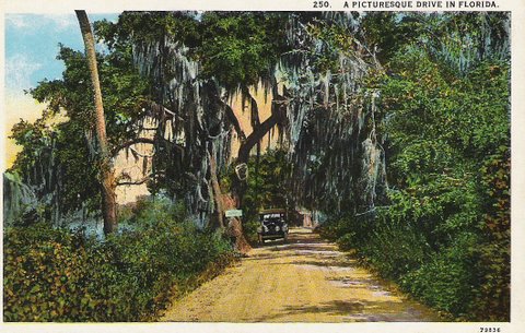 Vintage Postcard Miami, Florida