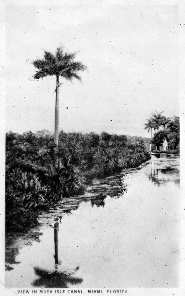 Musa Isle Canal